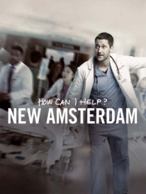 Смотреть Новый Амстердам онлайн в хорошем качестве